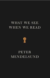 What We See When We Read by Peter Mendelsund