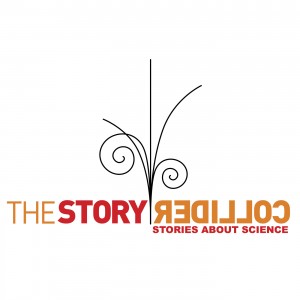 StoryCollider